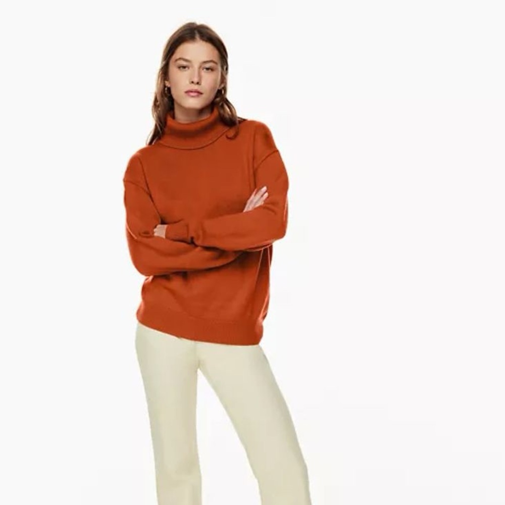 Aritzia Wilfred Free 100% Merino Wool Turtleneck in Copper Red, Sz M